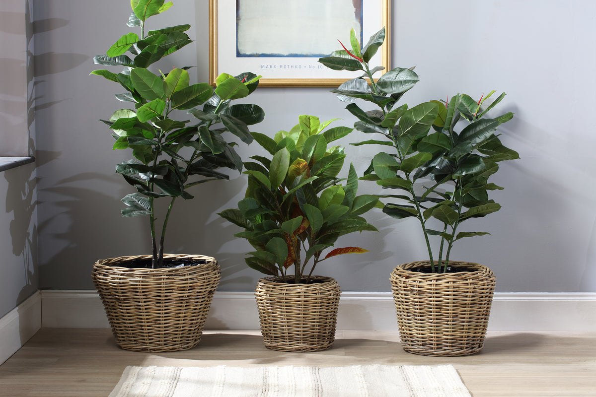 Set of 3 Lined Plant Baskets