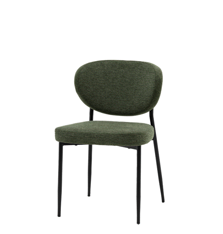 Orlando Green Fabric Dining Chair (set of 2)