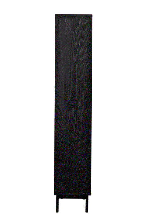 Bartivio Black & Brown Wooden Display Unit