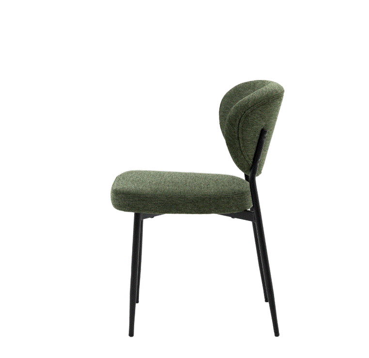Orlando Green Fabric Dining Chair (set of 2)