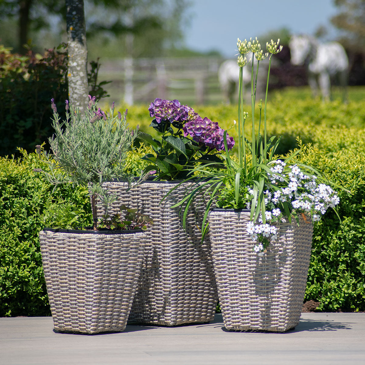 kendal outdoor rattan 3x planter set with plastic inners