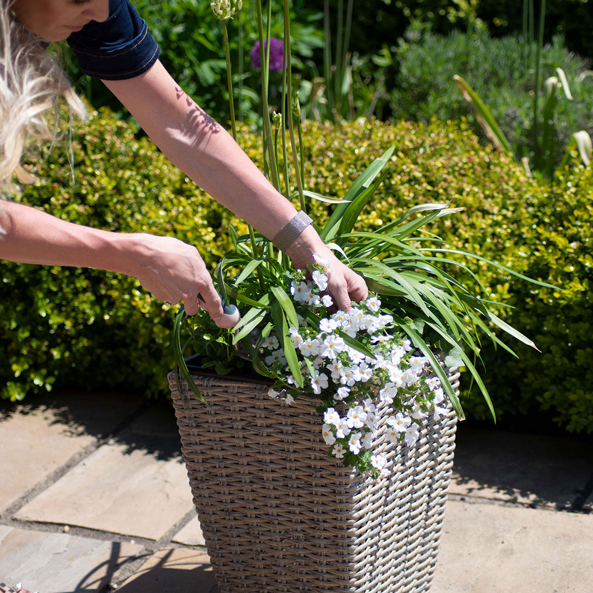 kendal outdoor rattan 3x planter set with plastic inners