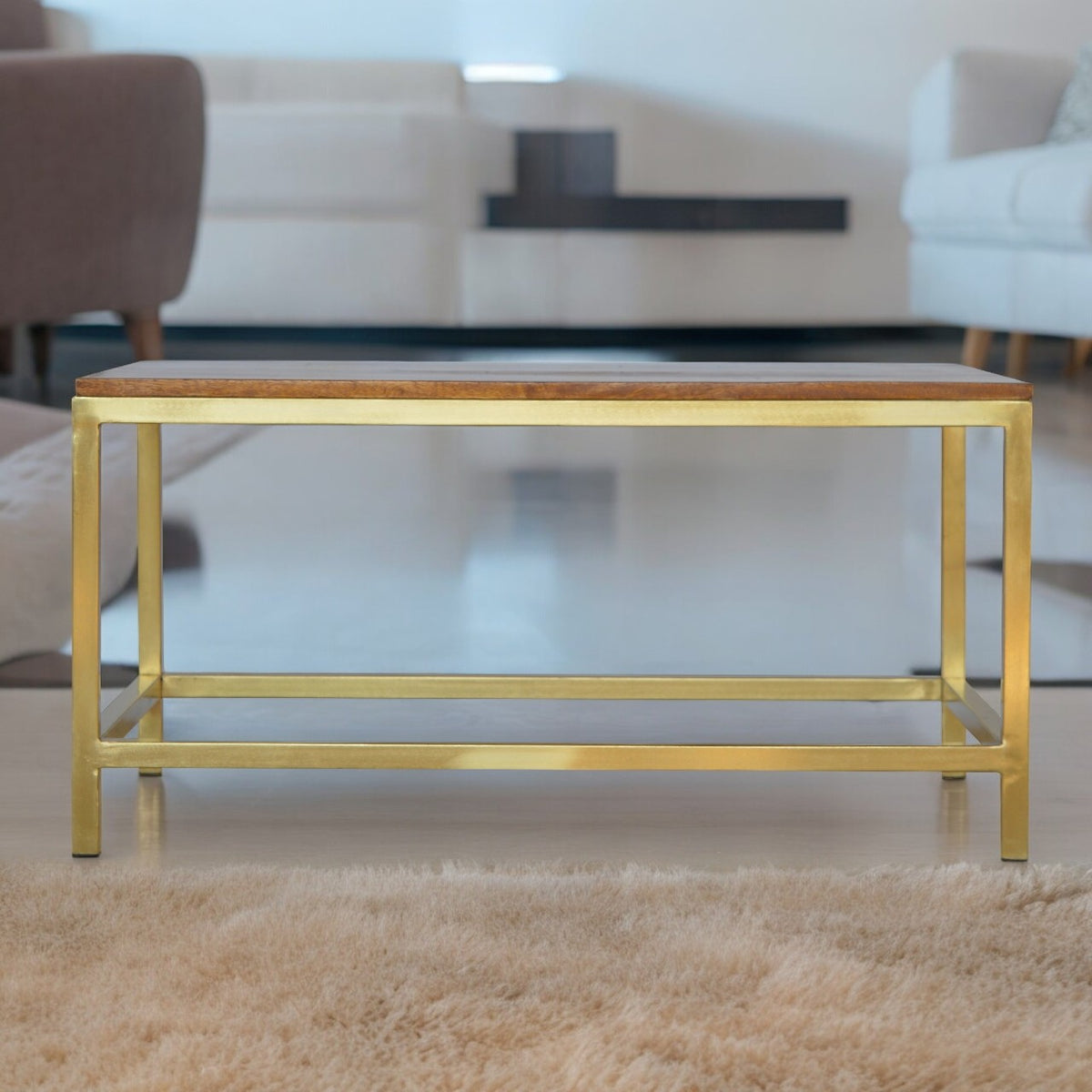 Rectangle Gold Coffee Table with Mango Wood Top