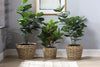 Set of 3 Lined Plant Baskets