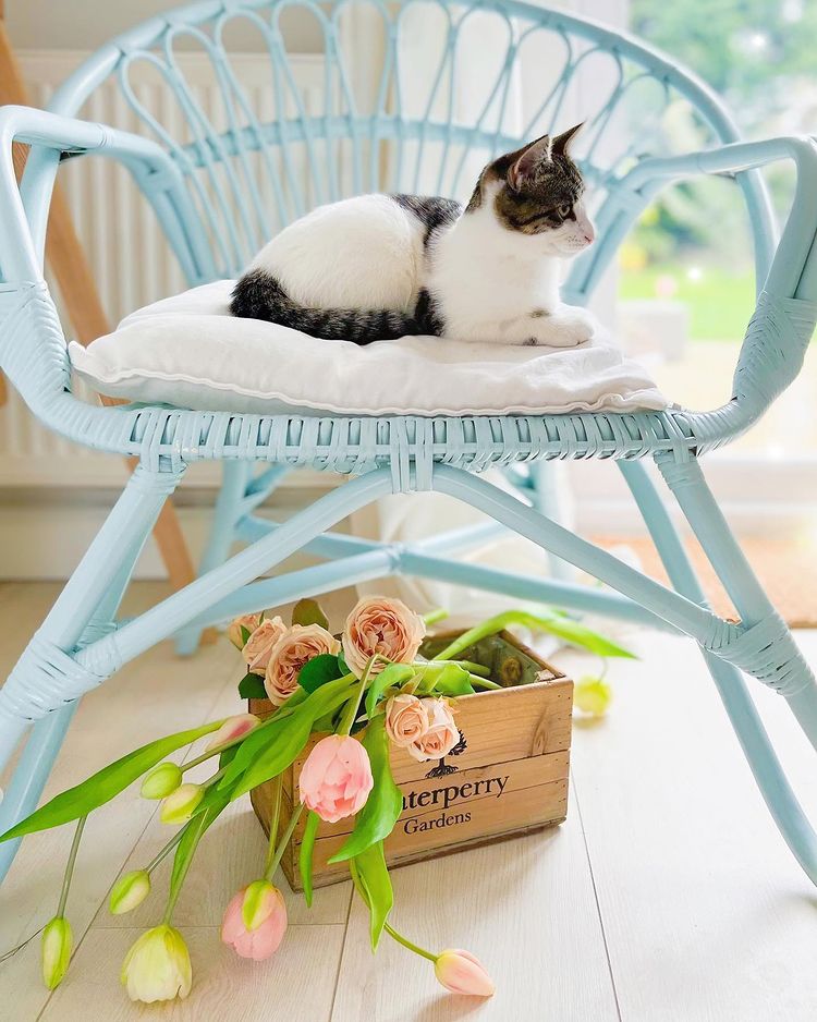 blue nordic rattan chair