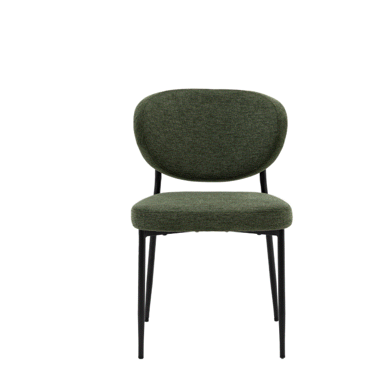 Orlando Green Fabric Dining Chair (set of 2)