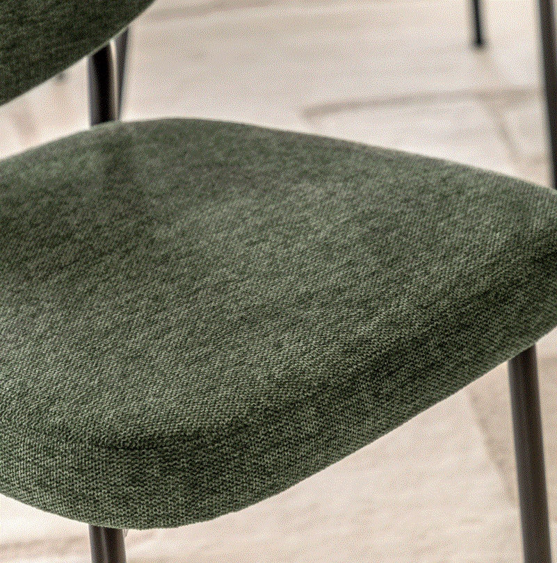 Orlando Green Fabric Dining Chair (set of 2)