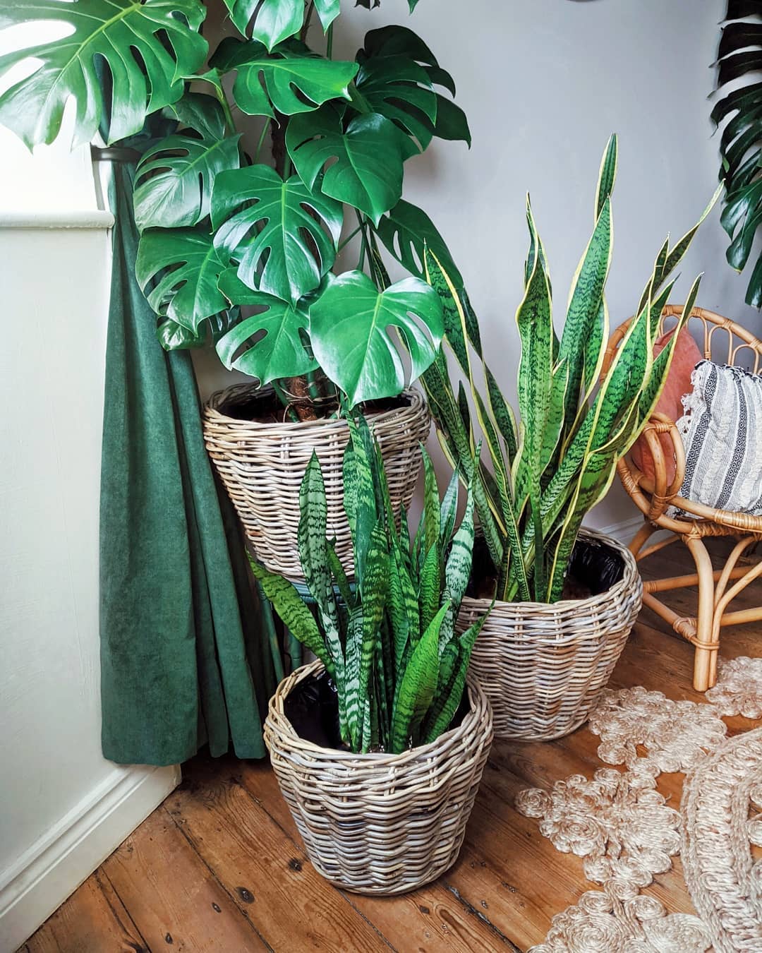 set of 3 lined plant baskets