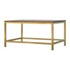 Rectangle Gold Coffee Table with Mango Wood Top
